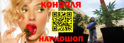 прущие крисы Будённовск