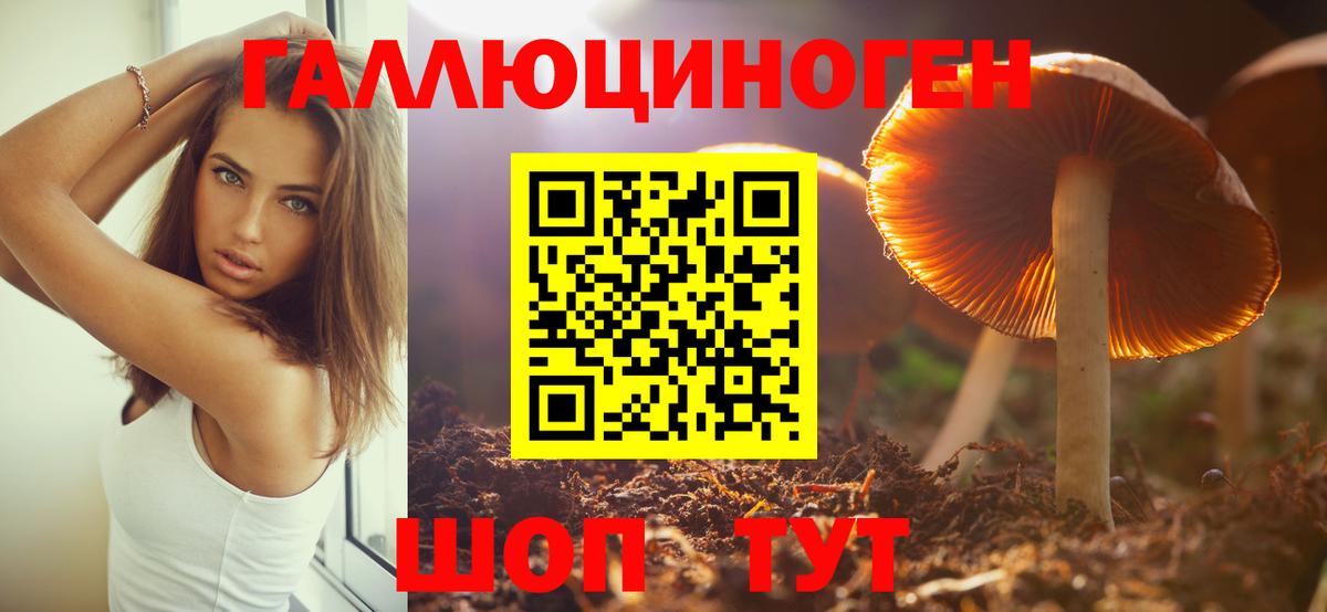 Галлюциногенные грибы Magic Shrooms  Вход с VPN  Малгобек 