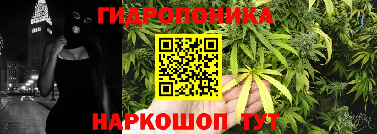 Марихуана конопля Малгобек
